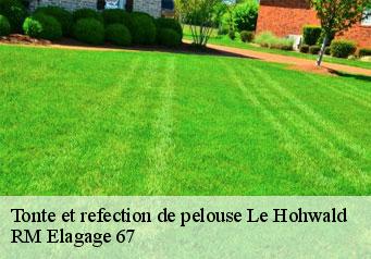 Tonte et refection de pelouse le-hohwald-67140 RM Elagage 67