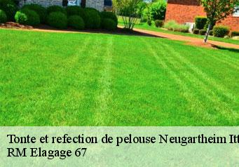 Tonte et refection de pelouse neugartheim-ittlenheim-67370 RM Elagage 67