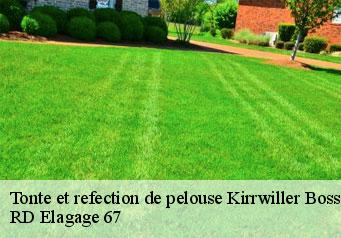 tonte-et-refection-de-pelouse