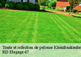tonte-et-refection-de-pelouse