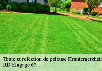 tonte-et-refection-de-pelouse