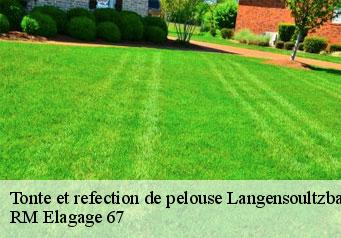 Tonte et refection de pelouse langensoultzbach-67360 RM Elagage 67