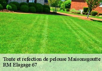 Tonte et refection de pelouse maisonsgoutte-67220 RM Elagage 67