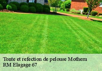 Tonte et refection de pelouse mothern-67470 RM Elagage 67