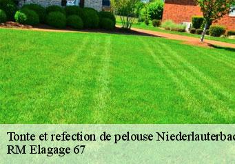 Tonte et refection de pelouse niederlauterbach-67630 RM Elagage 67