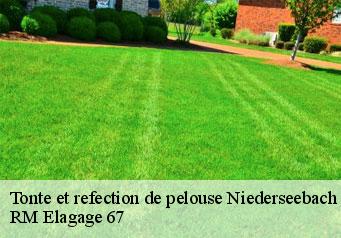 Tonte et refection de pelouse niederseebach-67160 RM Elagage 67