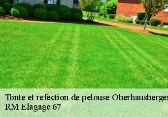Tonte et refection de pelouse oberhausbergen-67205 RM Elagage 67