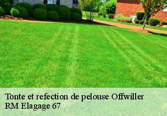 Tonte et refection de pelouse offwiller-67340 RM Elagage 67