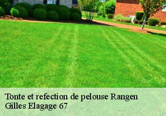 Tonte et refection de pelouse  rangen-67310 Gilles Elagage 67