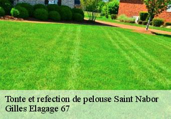 Tonte et refection de pelouse  saint-nabor-67530 Gilles Elagage 67