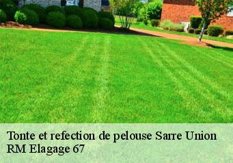 Tonte et refection de pelouse sarre-union-67260 RM Elagage 67