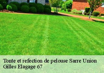 Tonte et refection de pelouse  sarre-union-67260 Gilles Elagage 67