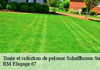 Tonte et refection de pelouse  schaffhouse-sur-zorn-67270 Gilles Elagage 67