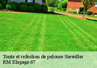 Tonte et refection de pelouse siewiller-67320 RM Elagage 67
