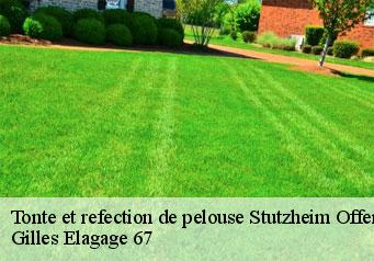 Tonte et refection de pelouse  stutzheim-offenheim-67370 Gilles Elagage 67