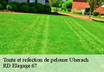 tonte-et-refection-de-pelouse