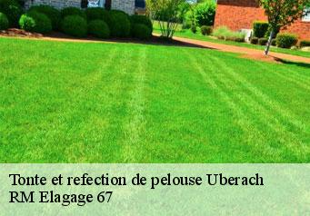 Tonte et refection de pelouse uberach-67350 RM Elagage 67