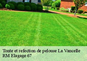 Tonte et refection de pelouse la-vancelle-67730 RM Elagage 67