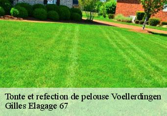 Tonte et refection de pelouse  voellerdingen-67430 Gilles Elagage 67