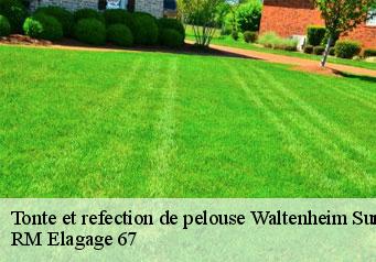 Tonte et refection de pelouse waltenheim-sur-zorn-67670 RM Elagage 67