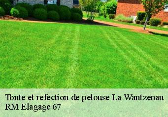 Tonte et refection de pelouse la-wantzenau-67610 RM Elagage 67