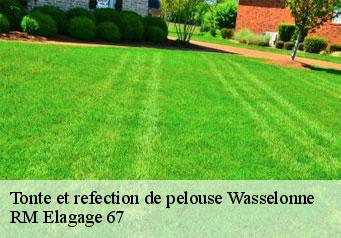 Tonte et refection de pelouse wasselonne-67310 RM Elagage 67