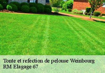 Tonte et refection de pelouse weinbourg-67340 RM Elagage 67