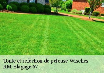 Tonte et refection de pelouse wisches-67130 RM Elagage 67