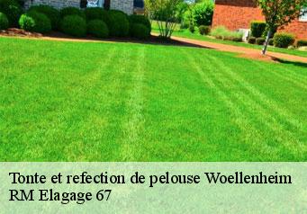 Tonte et refection de pelouse woellenheim-67370 RM Elagage 67