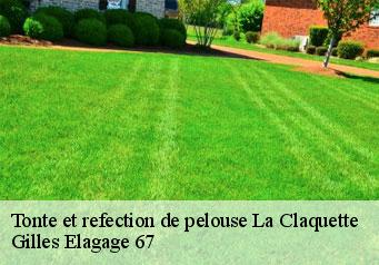 Tonte et refection de pelouse la-claquette-67570 Gilles Elagage 67