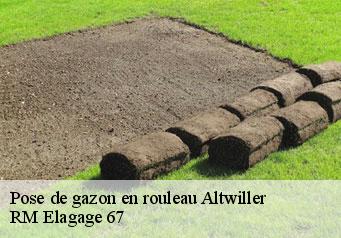 Pose de gazon en rouleau altwiller-67260 RM Elagage 67