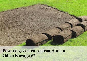 Pose de gazon en rouleau  andlau-67140 Gilles Elagage 67