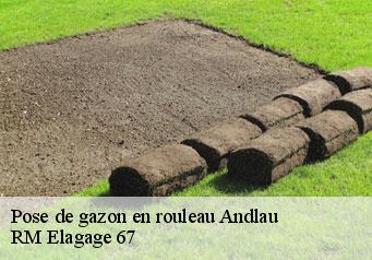 Pose de gazon en rouleau  andlau-67140 RM Elagage 67