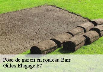 Pose de gazon en rouleau  barr-67140 Gilles Elagage 67