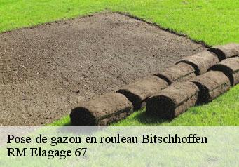 Pose de gazon en rouleau bitschhoffen-67350 RM Elagage 67