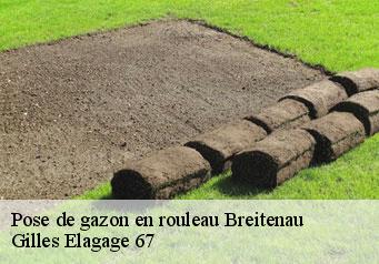 Pose de gazon en rouleau  breitenau-67220 Gilles Elagage 67