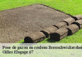 Pose de gazon en rouleau  breuschwickersheim-67112 Gilles Elagage 67