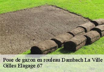 Pose de gazon en rouleau  dambach-la-ville-67650 Gilles Elagage 67