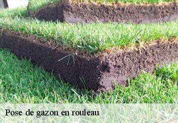 pose-de-gazon-en-rouleau