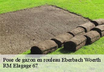 Pose de gazon en rouleau eberbach-woerth-67110 RM Elagage 67