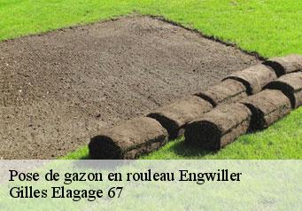 Pose de gazon en rouleau engwiller-67350 Gilles Elagage 67