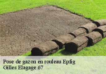 Pose de gazon en rouleau  epfig-67680 Gilles Elagage 67