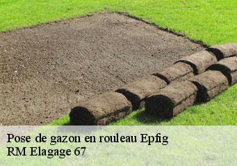 Pose de gazon en rouleau epfig-67680 RM Elagage 67