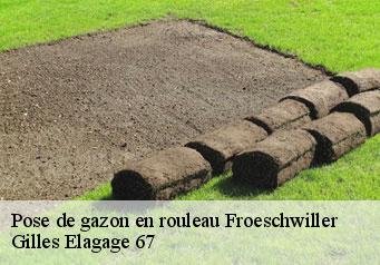 Pose de gazon en rouleau  froeschwiller-67360 Gilles Elagage 67