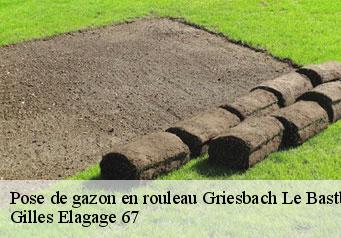 Pose de gazon en rouleau  griesbach-le-bastberg-67330 Gilles Elagage 67