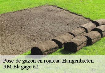 Pose de gazon en rouleau hangenbieten-67980 RM Elagage 67