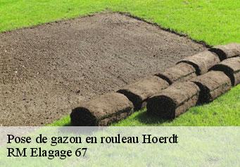 Pose de gazon en rouleau  hoerdt-67720 RM Elagage 67