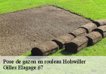 Pose de gazon en rouleau  hohwiller-67250 Gilles Elagage 67