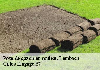 Pose de gazon en rouleau  lembach-67510 Gilles Elagage 67