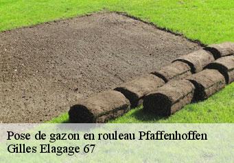 Pose de gazon en rouleau  pfaffenhoffen-67350 Gilles Elagage 67